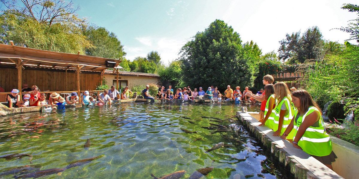 Aquarium-du-Perigord-Noir-3-4
