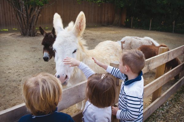 LeBournat052017-6-sur-96